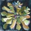 Picture of SUCCULENT ROSETTE I