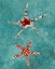 Picture of TWIN STARFISH I