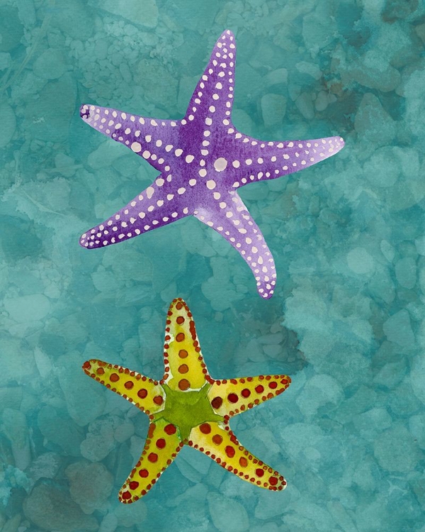 Picture of TWIN STARFISH II