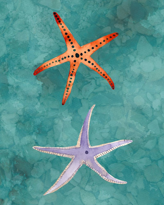 Picture of TWIN STARFISH III