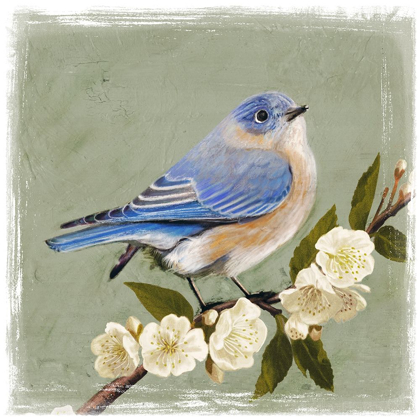 Picture of BLUEBIRD BRANCH I