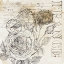 Picture of ROSE ROMANCE III