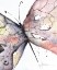Picture of MARIPOSA I
