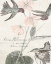 Picture of SOFT HUMMINGBIRDS I