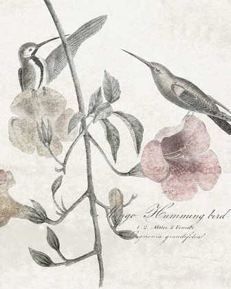 Picture of SOFT HUMMINGBIRDS II