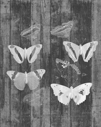 Picture of RUSTIC BUTTERFLY CHART I