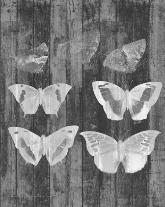 Picture of RUSTIC BUTTERFLY CHART III