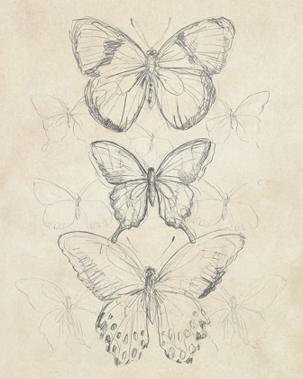 Picture of VINTAGE BUTTERFLY SKETCH I