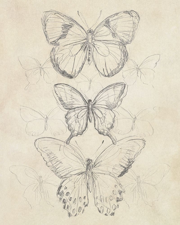 Picture of VINTAGE BUTTERFLY SKETCH I