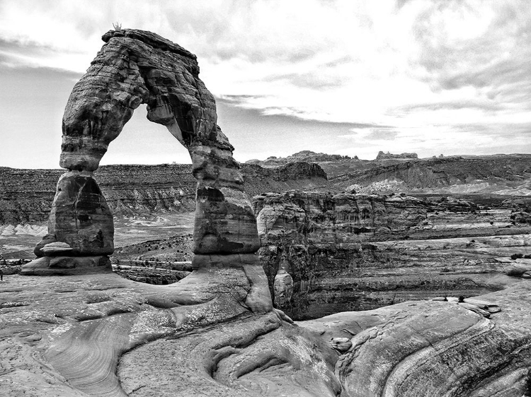 Picture of DESERT ARCHES I