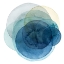 Picture of EVOLVING PLANETS I