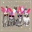 Picture of FANCYPANTS CATS VI