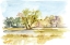 Picture of VIBRANT WATERCOLOR I