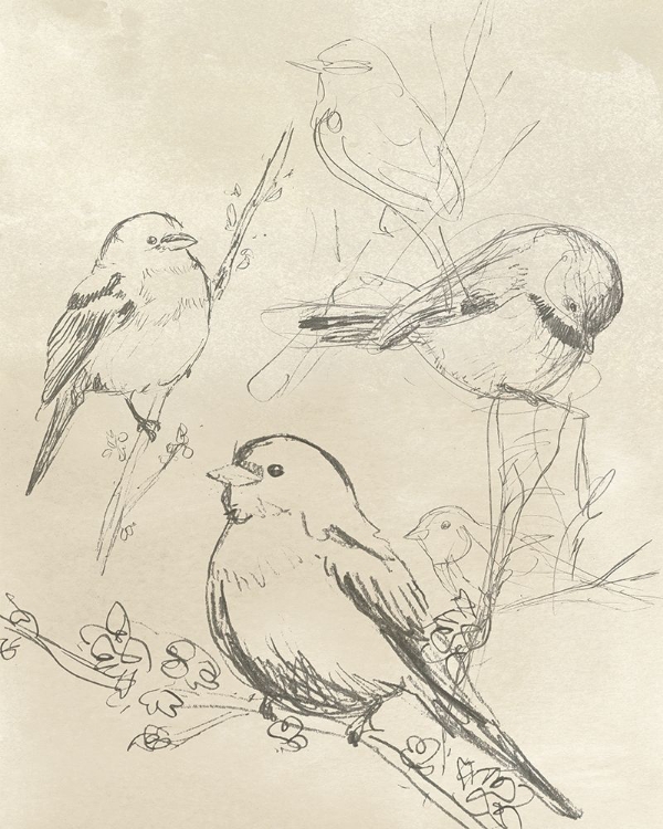 Picture of VINTAGE SONGBIRD SKETCH II