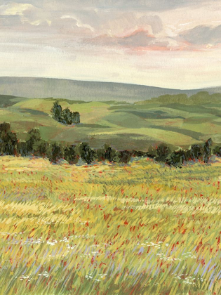 Picture of MORNING MEADOW I