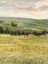 Picture of MORNING MEADOW I