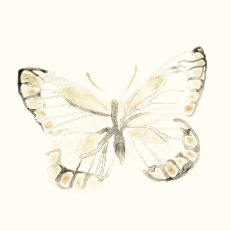 Picture of SEPIA BUTTERFLY IMPRESSIONS I