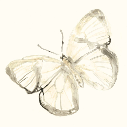 Picture of SEPIA BUTTERFLY IMPRESSIONS III