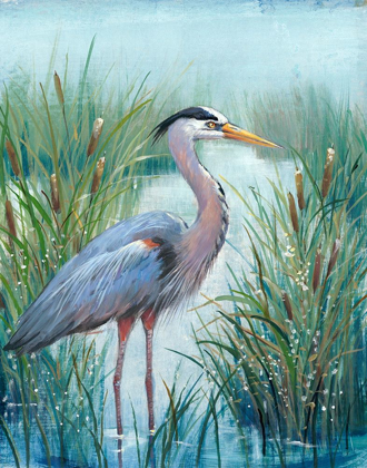 Picture of MARSH HERON I