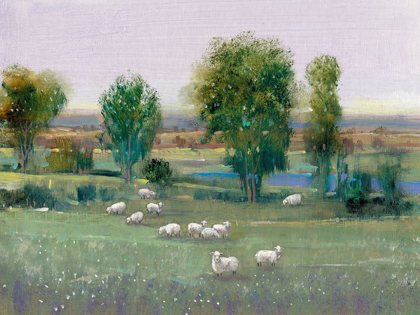 Picture of FIELD OF SHEEP I