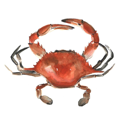 Picture of WATERCOLOR CRAB I