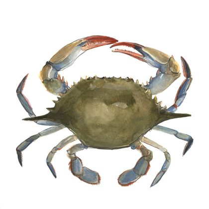 Picture of WATERCOLOR CRAB II