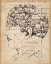 Picture of PHRENOLOGY BOOKPAGE