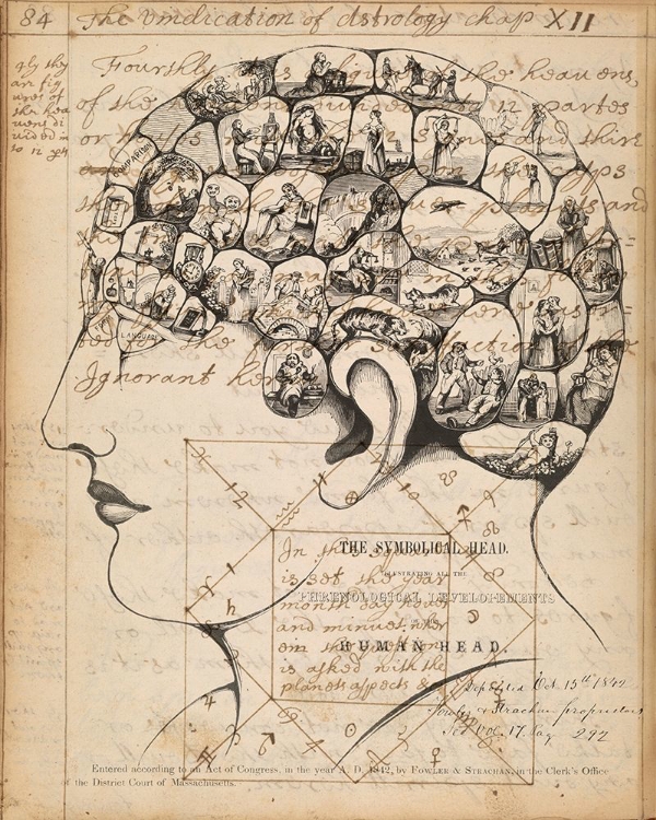 Picture of PHRENOLOGY BOOKPAGE