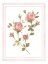 Picture of ROSE PATTERN I