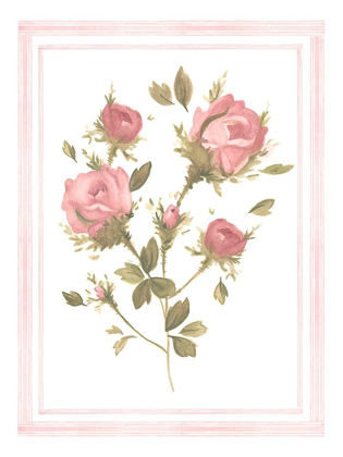 Picture of ROSE PATTERN II
