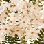 Picture of DAISY FIELD I