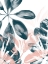 Picture of TROPICAL BLUSH I