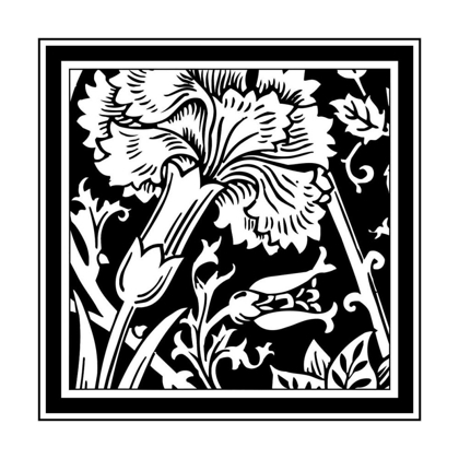 Picture of BANDW GRAPHIC FLORAL MOTIF I