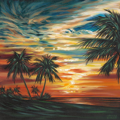 Picture of STUNNING TROPICAL SUNSET I