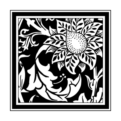 Picture of BANDW GRAPHIC FLORAL MOTIF II