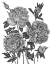 Picture of FLOWERS IN GREY VI