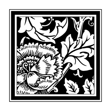 Picture of BANDW GRAPHIC FLORAL MOTIF III