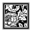 Picture of BANDW GRAPHIC FLORAL MOTIF III
