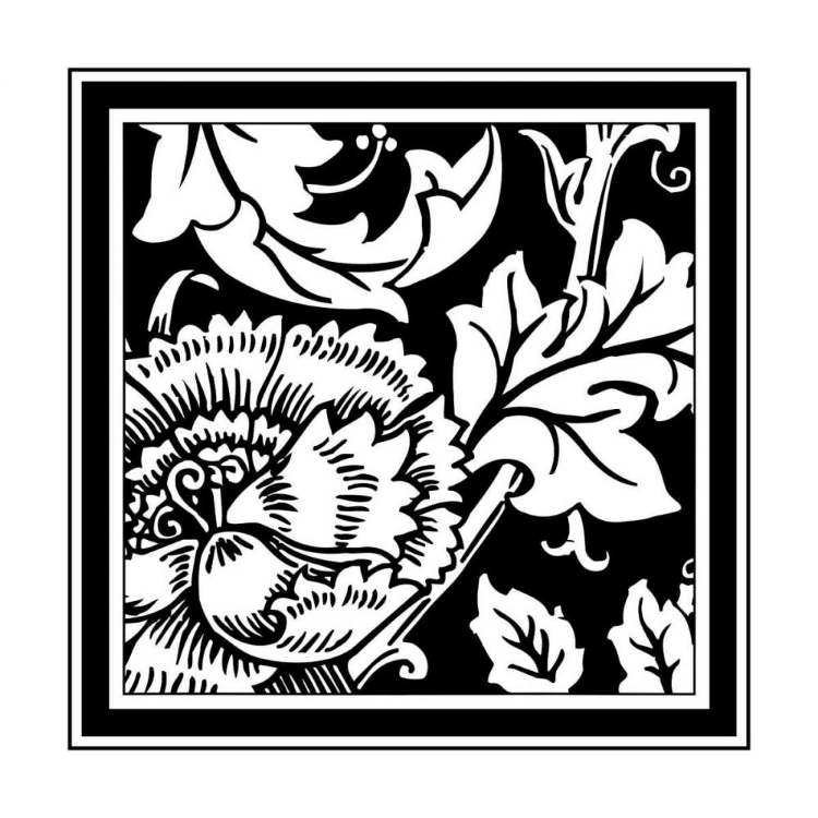 Picture of BANDW GRAPHIC FLORAL MOTIF III