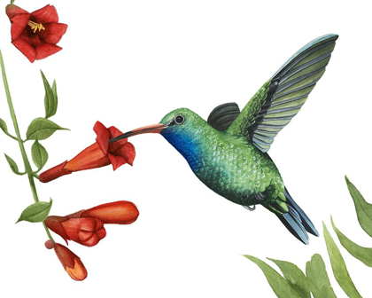 Picture of HUMMINGBIRD AND FLOWER I