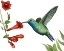 Picture of HUMMINGBIRD AND FLOWER I