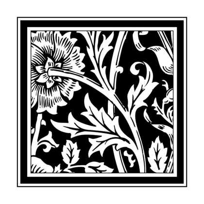 Picture of BANDW GRAPHIC FLORAL MOTIF IV