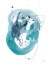 Picture of AQUA ORBIT IV