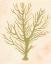 Picture of DEEP SEA CORAL II