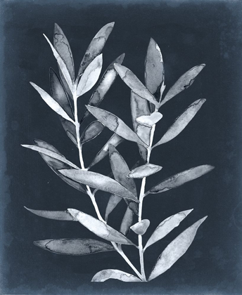 Picture of MIDNIGHT LEAVES II