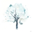 Picture of LIQUID ARBOR II