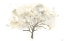 Picture of NEUTRAL ARBOR I