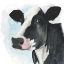 Picture of FARMHOUSE FRIEND I