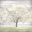 Picture of BARN TREE II