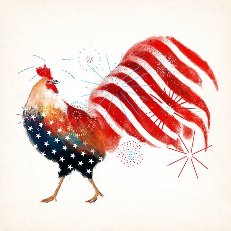 Picture of ROOSTER FIREWORKS I